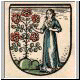 Wappen Rosenberg